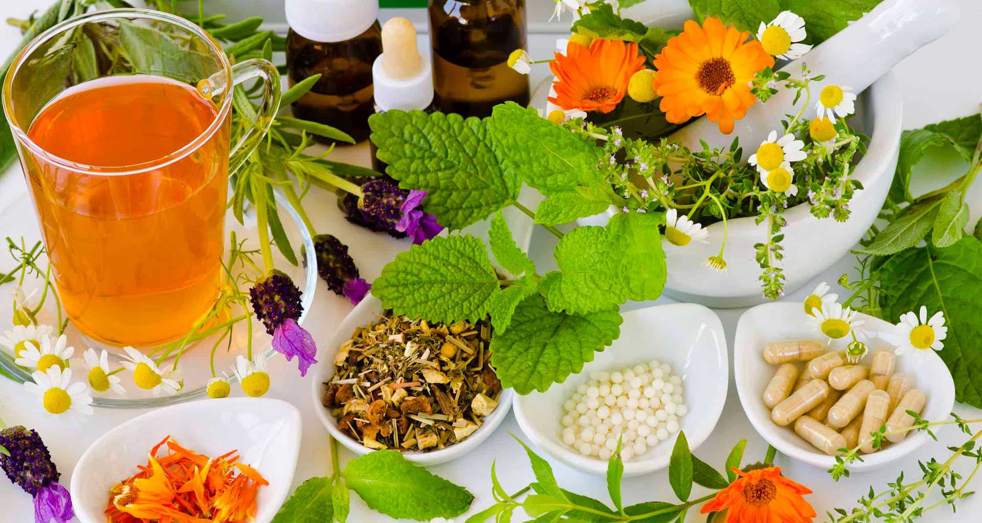 Gopalan Asan Siddha and Ayurvedic Medicals