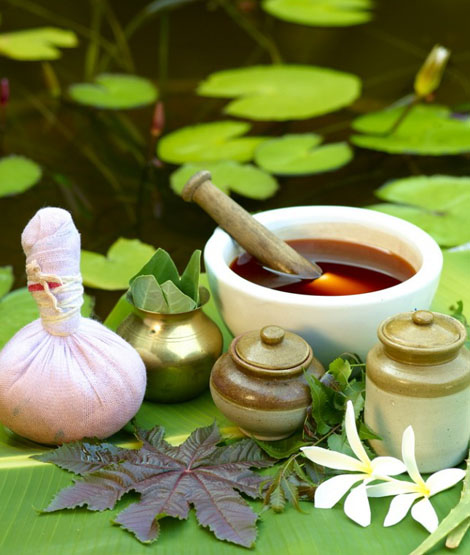 Gopalan Asan Siddha and Ayurvedic Medicals