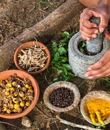 Gopalan Asan Siddha and Ayurvedic Medicals