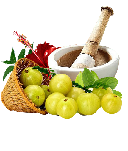 Gopalan Asan Siddha and Ayurvedic Medicals
