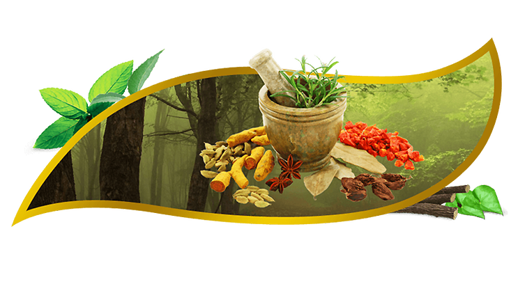 Gopalan Asan Siddha and Ayurvedic Medicals